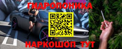 ECSTASY Заводоуковск