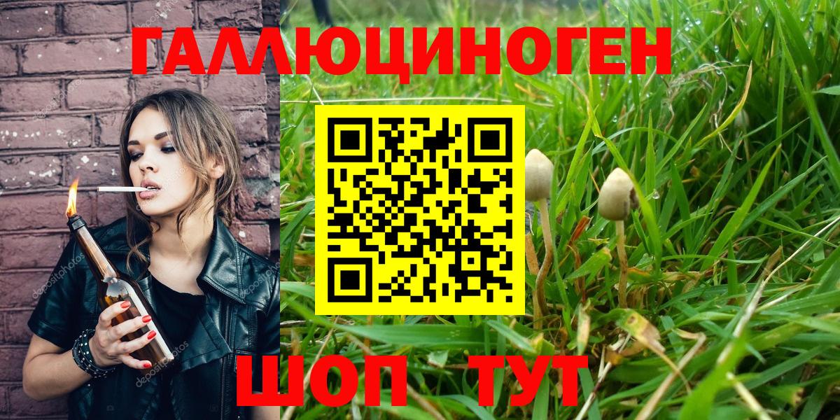 Псилоцибиновые грибы прущие грибы Мценск